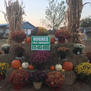 Hughes Tree Service of Murfreesboro