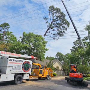 Saw-Rite Tree Service