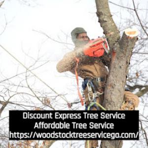 Discount Express Tree Service