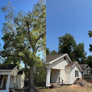 Harmon's Tree Service