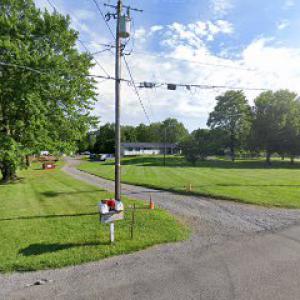 Peterson's Tree & Leaf Removal Services