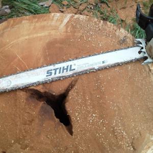 Arbor Magic Tree Service