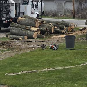 Smith's Tree Service