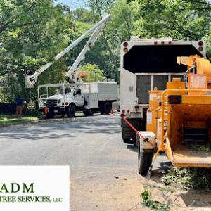 ADM Tree Services
