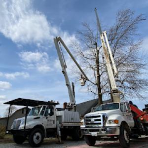 Pruden Tree Service