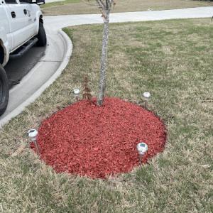 J&M Tree & Excavating