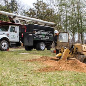 Garcias Tree Experts Services