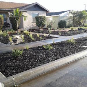 D&R Tree Service