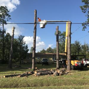 Arbor Outlawz Tree Removal