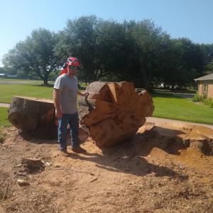 Morgan Tree & Stump Removal