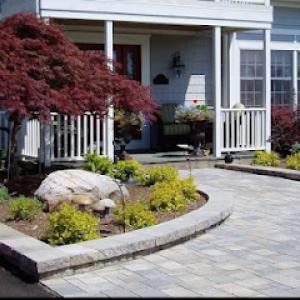 Birchcrest Tree & Landscape