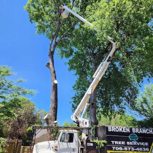 Broken Branch Tree Service