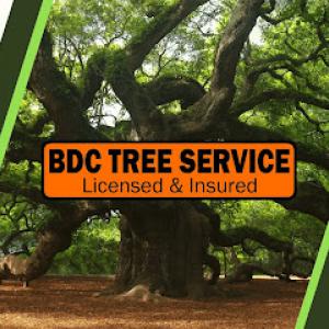 BDC Tree Service