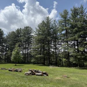 Montgomery Tree Service