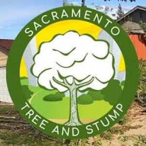 Sac tree & stump