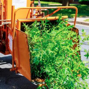 Wood Sacramento T﻿re﻿e S﻿erv﻿ice﻿s