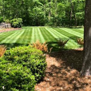 Heavenly Grading & Landscapes