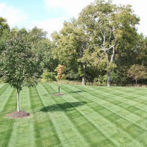 Green Frog Lawn Care