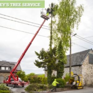 Whorley's Tree Service