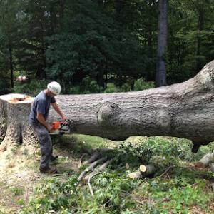 Satisfaction Tree Service