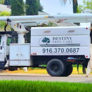 Destiny Tree Care
