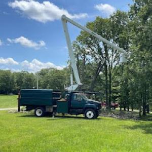 Above it All Tree Service