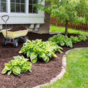 4 seasons lawn care & tree service