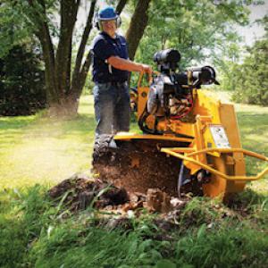 RMS Stump Grinding & Removal