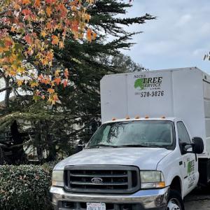 Nick's Tree Service