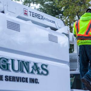 Lagunas Tree Service