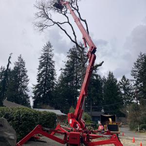 Beko's Tree Service & Wood Carving