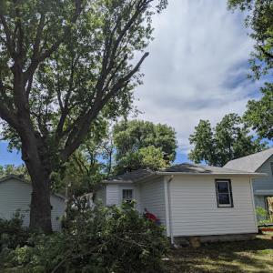 Sioux City Tree Service