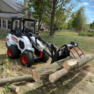 STS Tree Service