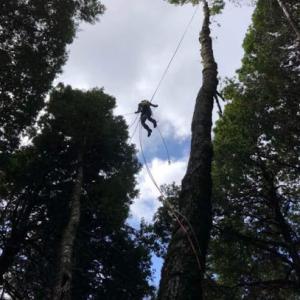 Minners Tree Company