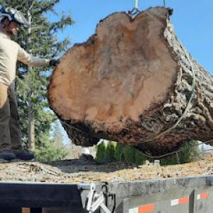 On Call Tree Service