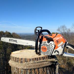 Timber Works Tree Care