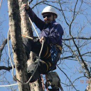 ArborJacks Tree Service