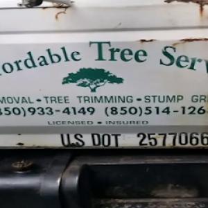 Affordable Tree Service By Mark Hicks