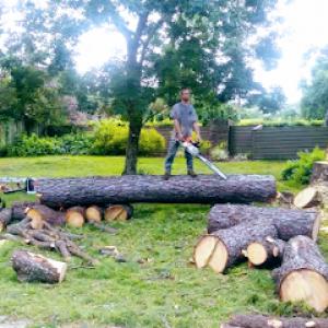 Crosby tree solutions