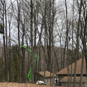 Leonardo's Tree Services