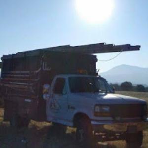 Paulin Family Tree Service (PFTS)