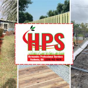 Hernandez Professional Services