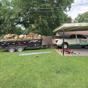 GMaya Tree Service & Landscaping