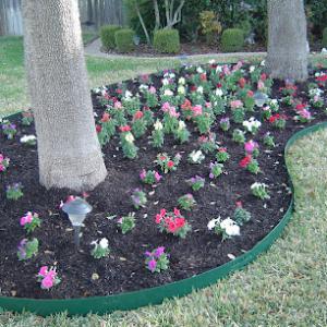 Benitez Tree & Shrub Service