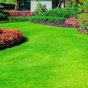 Chris Richey's Professional Lawn Service