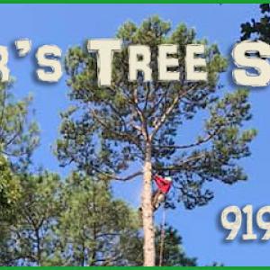 Edgar's Tree Service