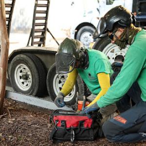 Medrano's Tree Services