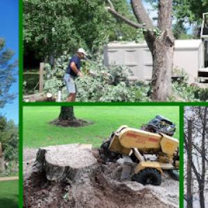 Kreft Tree Service - Wausau, WI