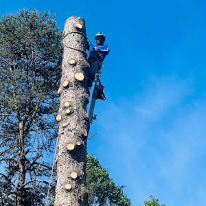 E.P.R. Tree & Multi Services