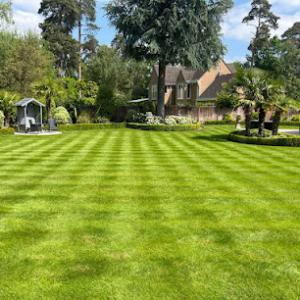 4 Ever Green Tree Services